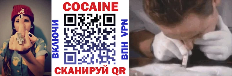COCAIN Fish Scale Салехард