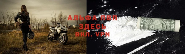 сатива Надым