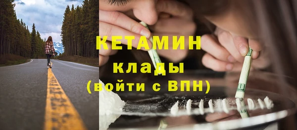 сатива Надым