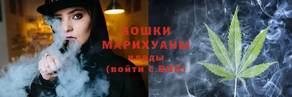 сатива Надым