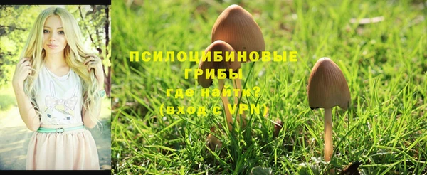 сатива Надым