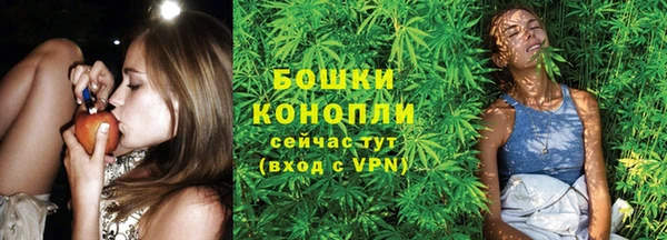 сатива Надым