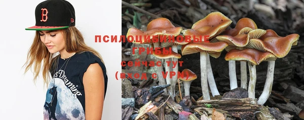 кокс Вуктыл